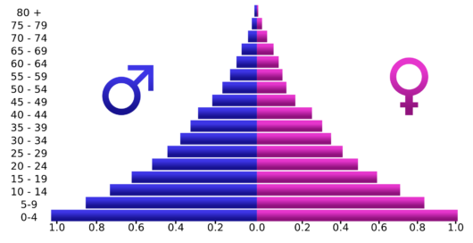 India Population Archives Socialcops